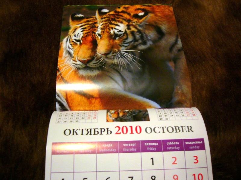 Иллюстрация 6 из 7 для Календарь 2010 "Год тигра" (30908) | Лабиринт - сувениры. Источник: Nika