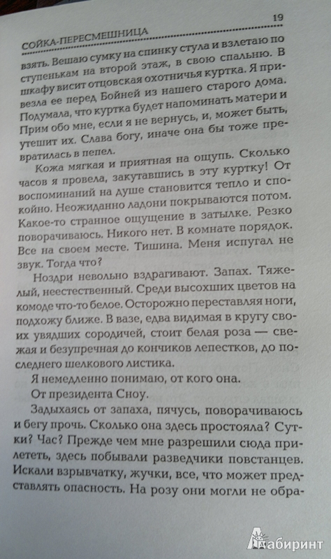 Иллюстрация 49 из 49 для Сойка-пересмешница - Сьюзен Коллинз | Лабиринт - книги. Источник: Леонид Сергеев