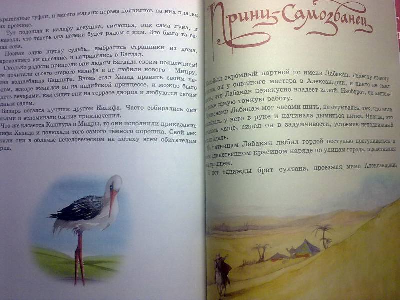 Иллюстрация 20 из 26 для Сказки о мудрости и красоте - Гауф, Уайльд | Лабиринт - книги. Источник: foxi-lisenok