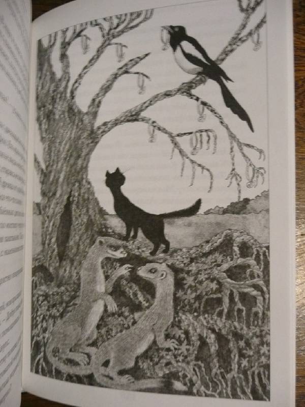 Иллюстрация 10 из 12 для Последний черный кот - Евгениос Тривизас | Лабиринт - книги. Источник: book lover