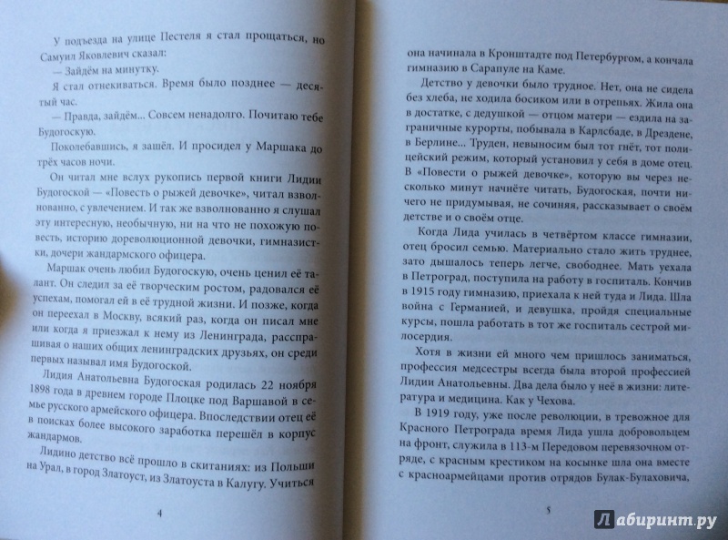 Иллюстрация 45 из 51 для Повесть о рыжей девочке - Лидия Будогоская | Лабиринт - книги. Источник: Литвинова  Жанна