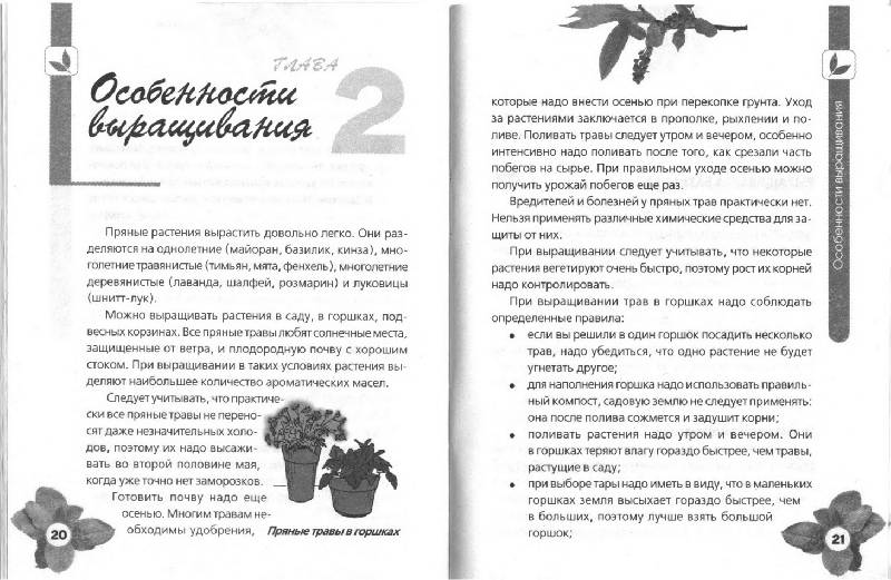 Иллюстрация 4 из 7 для Пряные травы на даче - Игорь Демин | Лабиринт - книги. Источник: ELVIRANIKA