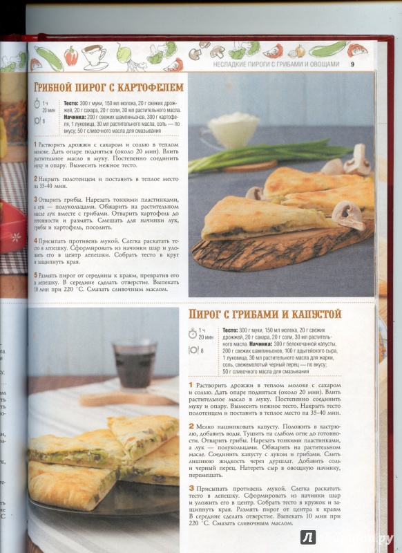 Иллюстрация 13 из 17 для 100 лучших рецептов домашних пирогов | Лабиринт - книги. Источник: boalinfo