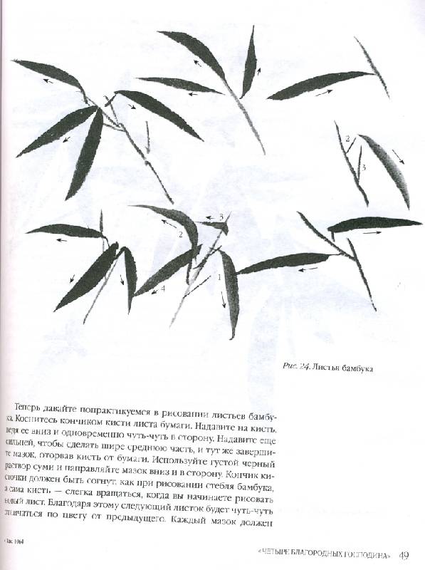 Иллюстрация 18 из 25 для Японская живопись тушью в стиле суйбоку - Рюкю Саито | Лабиринт - книги. Источник: ТТ