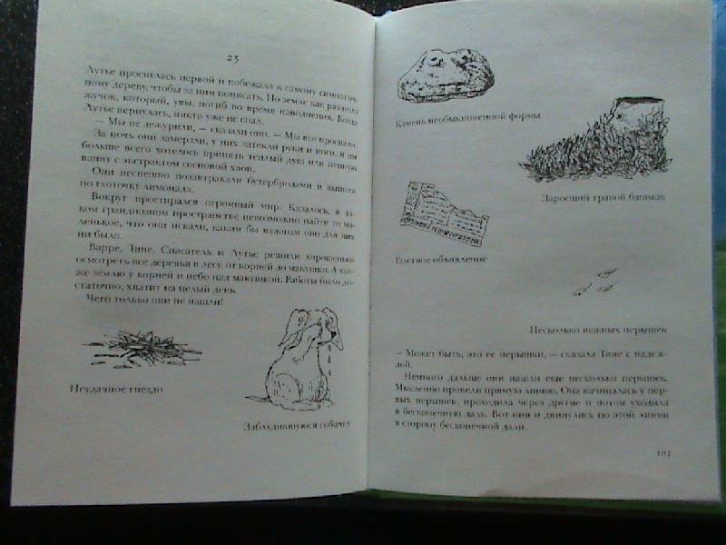 Иллюстрация 10 из 25 для Пип! - Йоке Леувен | Лабиринт - книги. Источник: Обычная москвичка