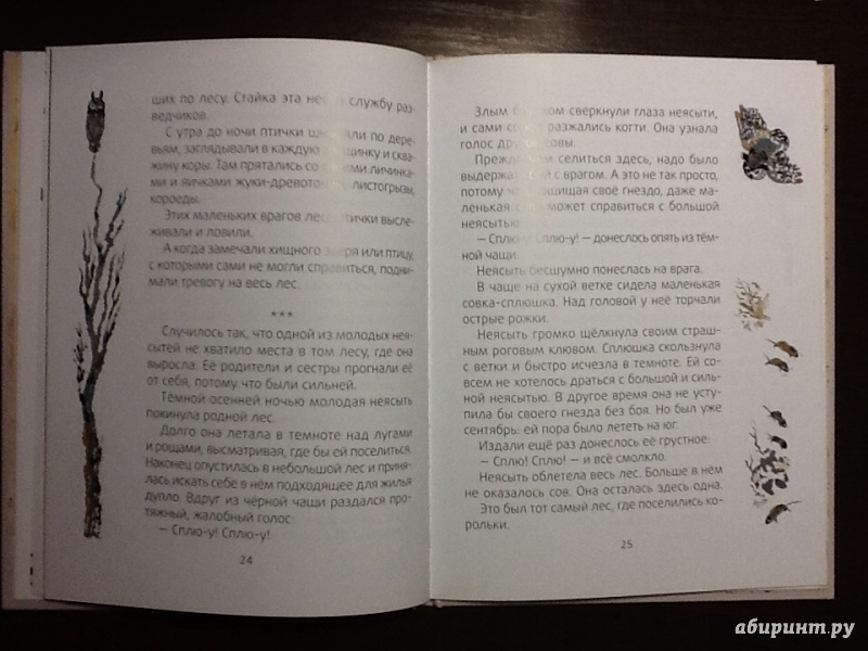 Иллюстрация 41 из 45 для Лесные разведчики - Виталий Бианки | Лабиринт - книги. Источник: Оноприенко  Олег Валерьевич
