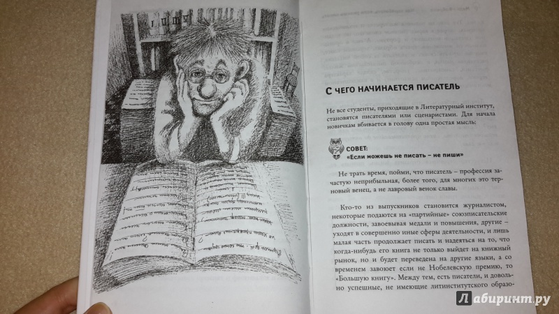 Иллюстрация 23 из 33 для Как заработать, если умеешь писать - И. Горюнова | Лабиринт - книги. Источник: Маруся (@smelayatrysixa)