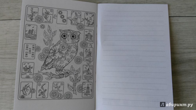 Иллюстрация 6 из 32 для Совушки. Блокнот-раскраска | Лабиринт - книги. Источник: Селезнева  Марина
