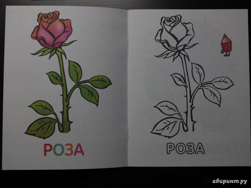 Иллюстрация 3 из 33 для Раскраска для малышей "Цветы" | Лабиринт - книги. Источник: АБ