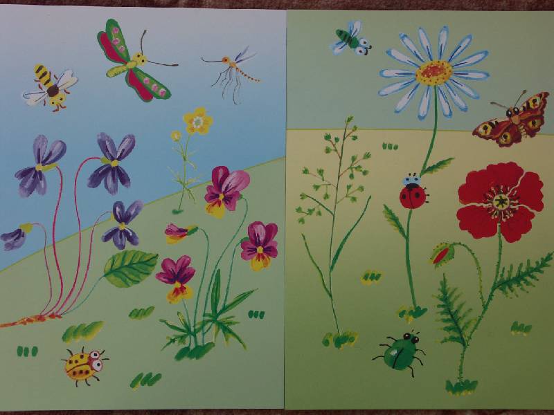 Рисование луг старшая группа. Рисование цветочный луг старшая группа. Рисование полевых цветов в старшей группе. Рисование с детьми на тему цветы. Цветы на лугу рисование в старшей группе.