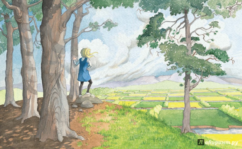 Иллюстрация 17 из 70 для Алиса в Зазеркалье - Льюис Кэрролл | Лабиринт - книги. Источник: Редактор этой книги