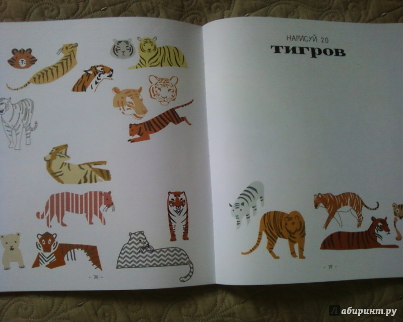 Иллюстрация 25 из 31 для 20 способов нарисовать кошку и 44 других удивительных животных - Джулия Куо | Лабиринт - книги. Источник: Родионова  Надежда