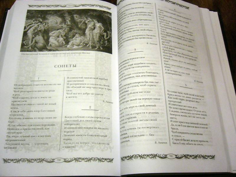 Иллюстрация 70 из 93 для Сонеты Шекспира - Уильям Шекспир | Лабиринт - книги. Источник: Nika