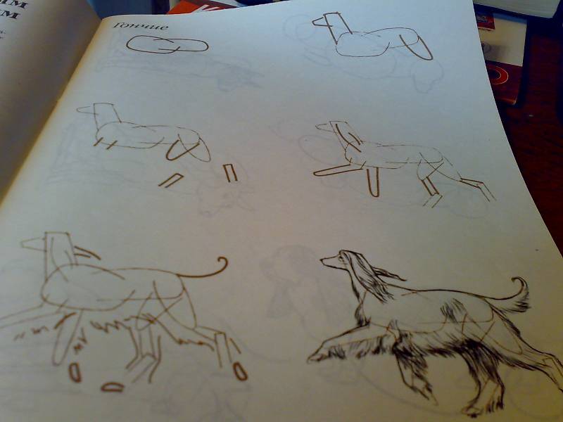 Иллюстрация 10 из 13 для Рисуем 50 собак - Ли Эймис | Лабиринт - книги. Источник: Юлия7