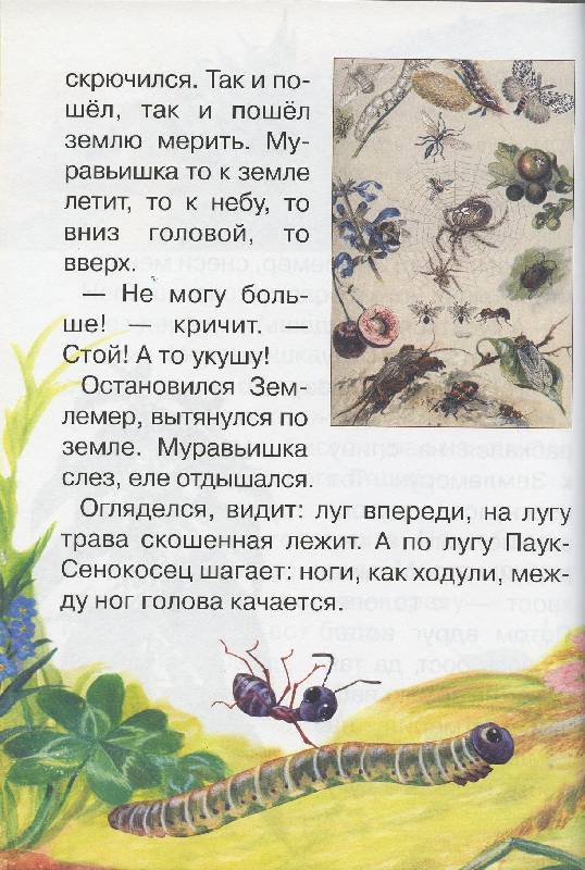 Иллюстрация 32 из 40 для Сказки и рассказы о животных - Виталий Бианки | Лабиринт - книги. Источник: Igra