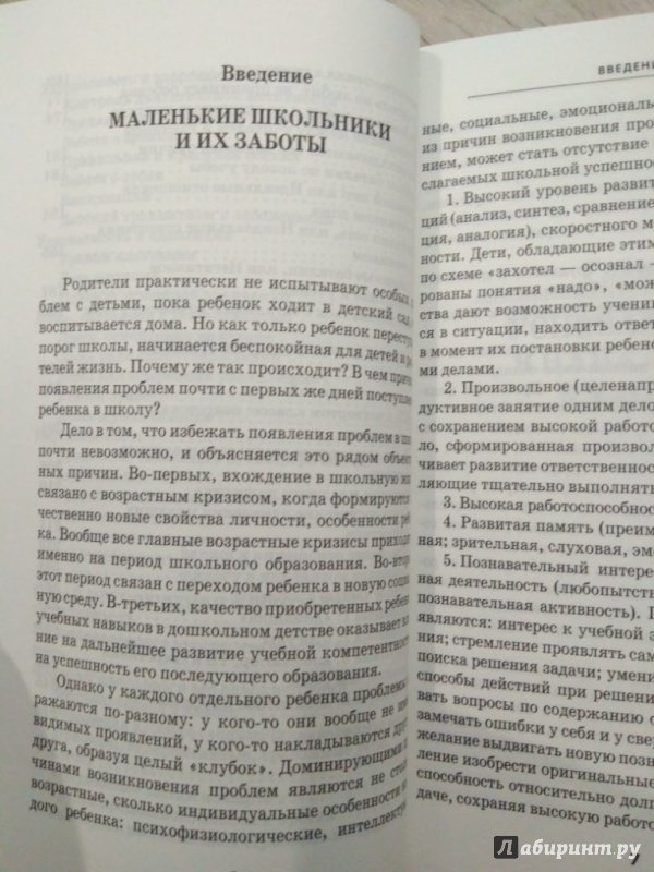 Иллюстрация 14 из 37 для Большие заботы маленького школьника - Людмила Евдокимова | Лабиринт - книги. Источник: Тайна