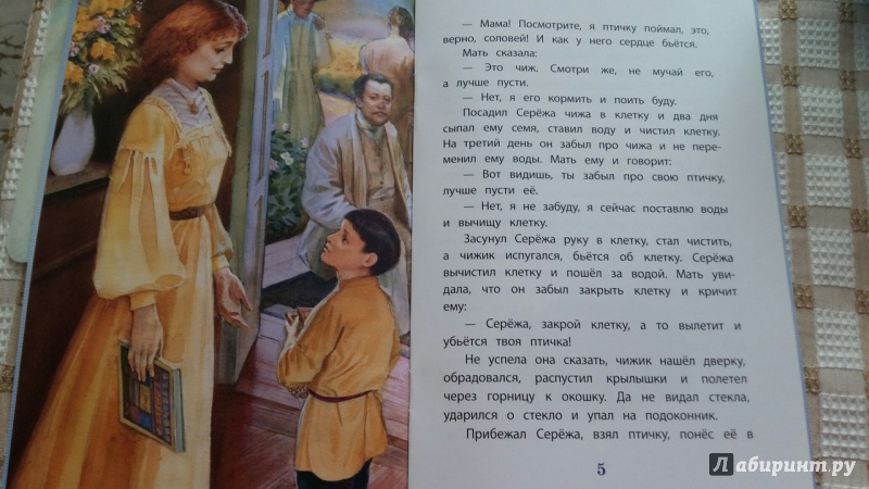 Иллюстрация 27 из 35 для Филипок - Лев Толстой | Лабиринт - книги. Источник: Yulive