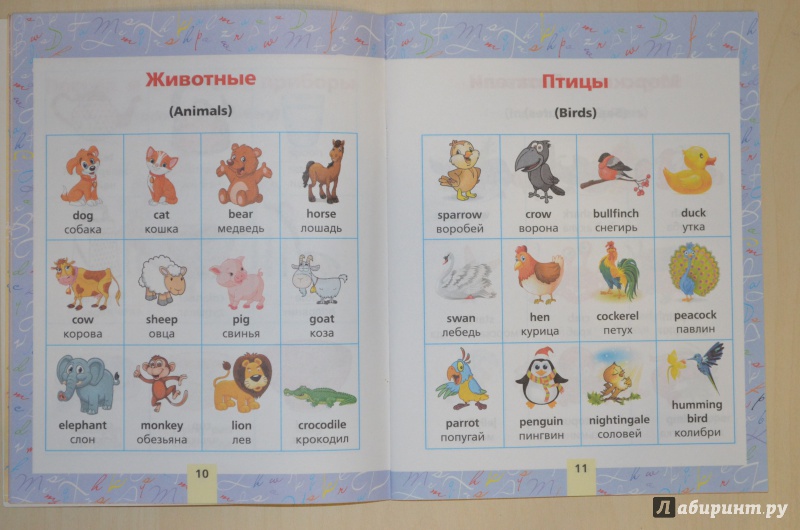 английский язык в картинках для начальной школы