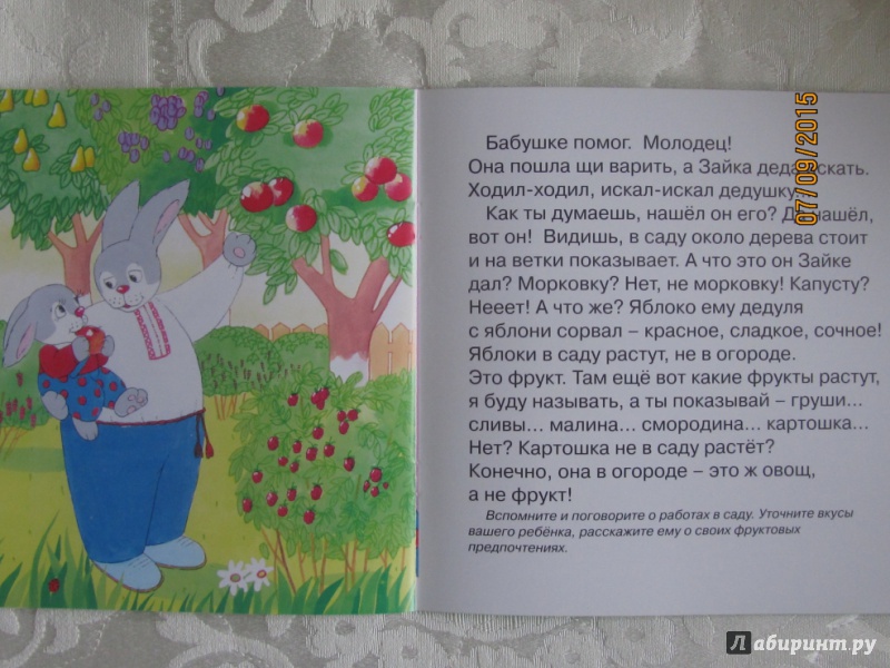 Иллюстрация 9 из 10 для Зайка в деревне. Для детей от 2-х лет - С. Савушкин | Лабиринт - книги. Источник: Булавинцева Маргарита