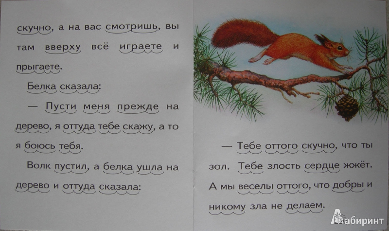 Иллюстрация 14 из 16 для Белка и волк - Лев Толстой | Лабиринт - книги. Источник: Julia Shilova