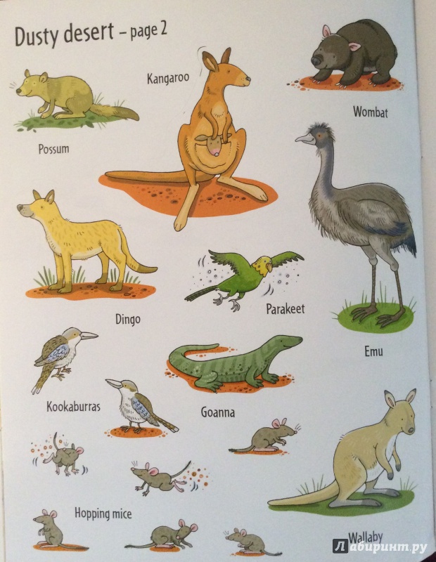 Иллюстрация 3 из 14 для Animal Sticker Book - Jessica Greenwell | Лабиринт - книги. Источник: Потапова  Юлия Владиславовна