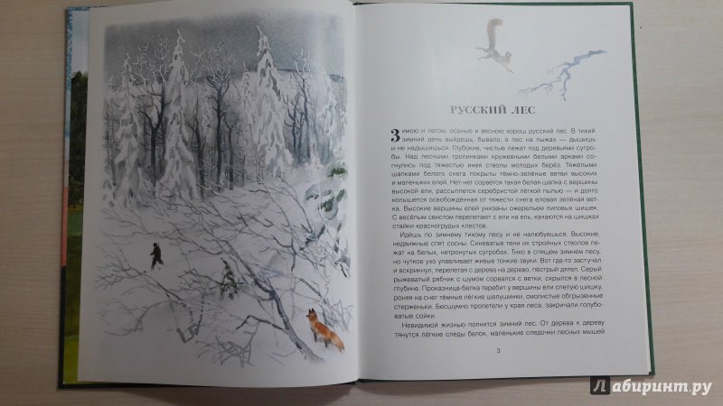 Иллюстрация 49 из 49 для Русский лес - Иван Соколов-Микитов | Лабиринт - книги. Источник: Елена  Е.