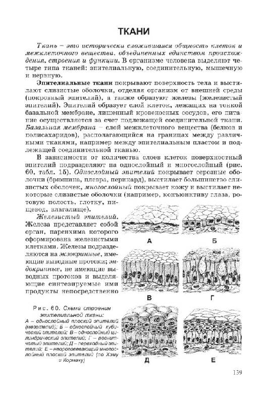 Иллюстрация 10 из 21 для Биология для поступающих в ВУЗы - Габриэль Билич | Лабиринт - книги. Источник: Юта