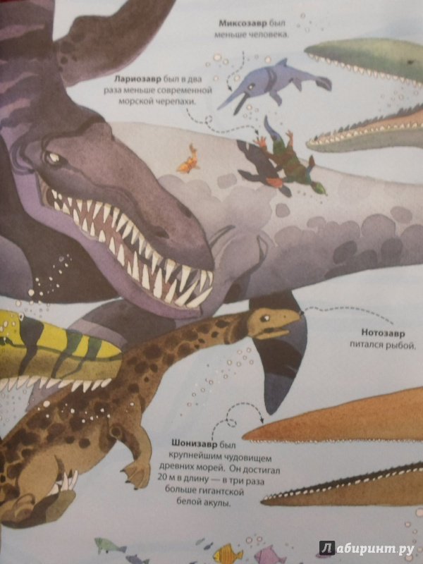 Иллюстрация 27 из 39 для Большая книга о больших динозаврах | Лабиринт - книги. Источник: Derry_D
