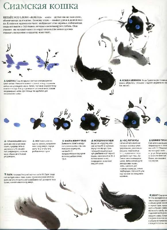 Иллюстрация 14 из 37 для Китайская живопись - Люси Ван | Лабиринт - книги. Источник: Юта