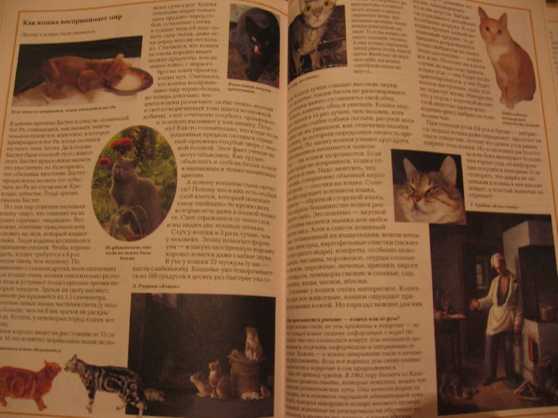Иллюстрация 8 из 15 для Загадки кошек - Светлана Лаврова | Лабиринт - книги. Источник: Зайчик