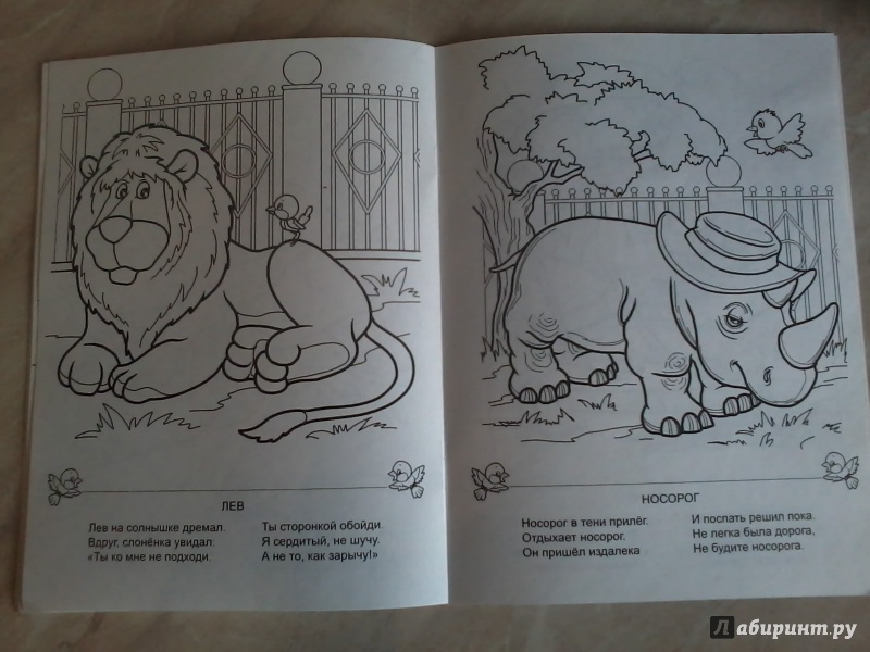 Иллюстрация 15 из 18 для Встреча в зоопарке - Наталья Мигунова | Лабиринт - книги. Источник: *  Читатель