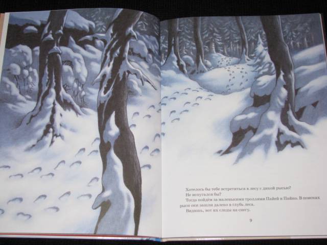Иллюстрация 3 из 15 для Следы на снегу - Сиссель Бёэ | Лабиринт - книги. Источник: Nemertona