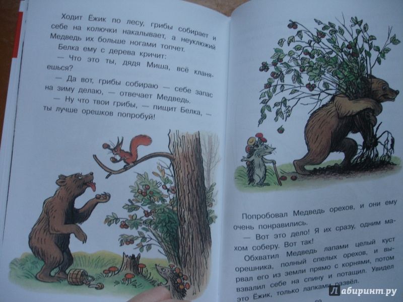 Иллюстрация 9 из 17 для Сказки в картинках - Владимир Сутеев | Лабиринт - книги. Источник: Lune