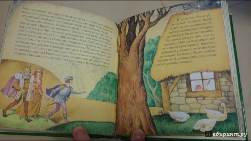 Иллюстрация 19 из 35 для Сказки - Гримм Якоб и Вильгельм | Лабиринт - книги. Источник: anka46