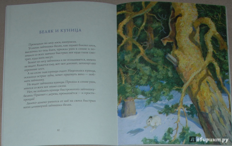 Иллюстрация 46 из 64 для Зима в лесу - Иван Соколов-Микитов | Лабиринт - книги. Источник: Книжный кот