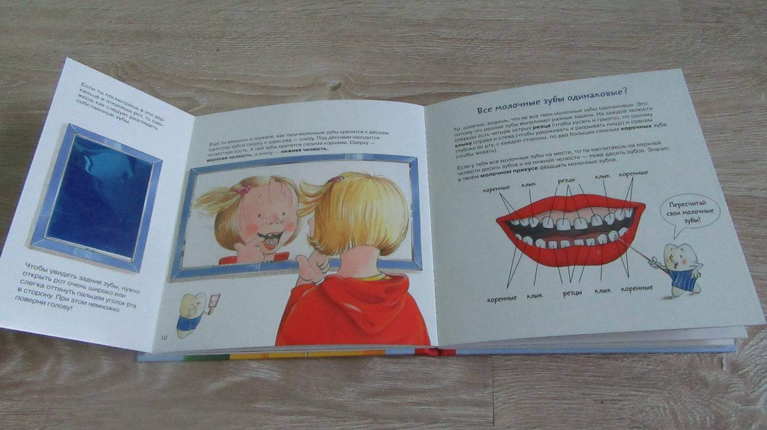 Иллюстрация 75 из 145 для Зубная книга. Все о твоих молочных зубах - Ивона Радюнц | Лабиринт - книги. Источник: дюдюка барбидокская