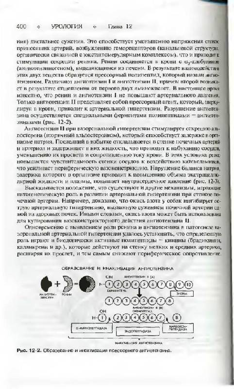 Иллюстрация 12 из 12 для Урология - Лопаткин, Пугачев, Аполихин | Лабиринт - книги. Источник: Юта