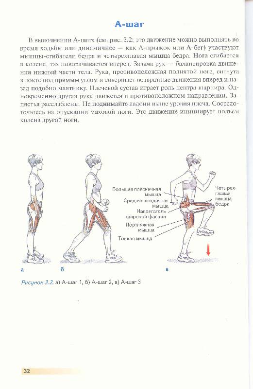 Иллюстрация 25 из 35 для Анатомия бега - Пулео, Милрой | Лабиринт - книги. Источник: Милада