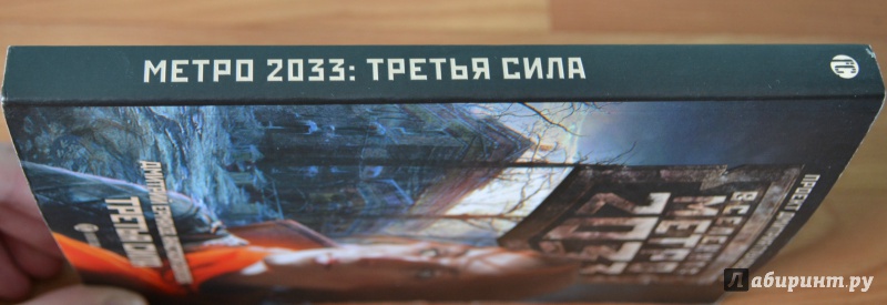 Иллюстрация 24 из 30 для Метро 2033.  Третья сила - Ермаков, Осипова | Лабиринт - книги. Источник: Alex &amp; Anastasia