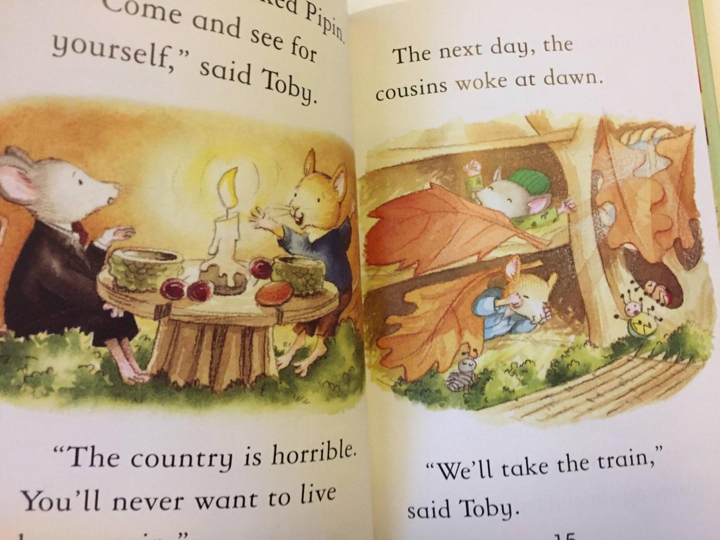 Иллюстрация 19 из 25 для The Town Mouse and The Country Mouse - Susanna Davidson | Лабиринт - книги. Источник: u.p