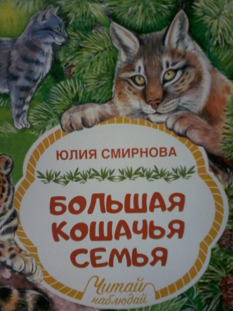 Иллюстрация 4 из 17 для Большая кошачья семья - Юлия Смирнова | Лабиринт - книги. Источник: Лабиринт