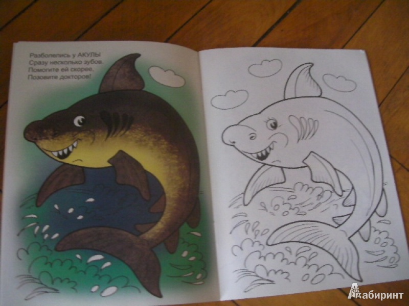 Иллюстрация 8 из 25 для Кто живет в воде - Наталья Мигунова | Лабиринт - книги. Источник: Сказочная фея