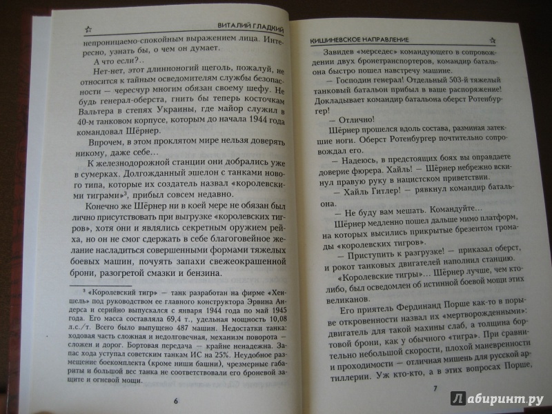 Иллюстрация 6 из 22 для Кишиневское направление - Виталий Гладкий | Лабиринт - книги. Источник: Волков  Александр Александрович