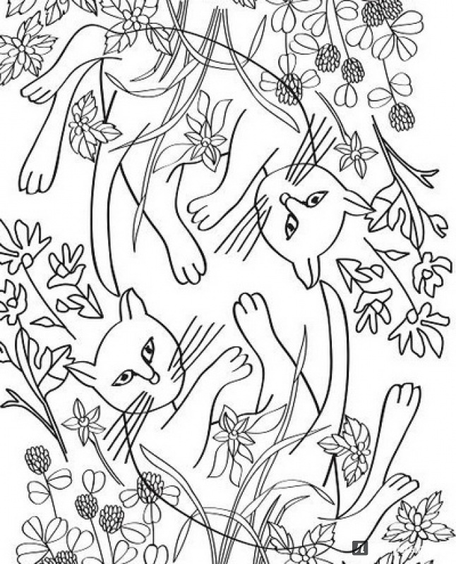 Иллюстрация 5 из 55 для Кототерапия. Раскраска-антистресс для взрослых | Лабиринт - книги. Источник: Shurshun