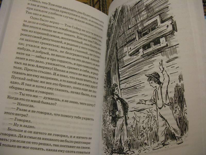Иллюстрация 3 из 4 для Приключения Гекльберри Финна - Марк Твен | Лабиринт - книги. Источник: К Л Я К С А