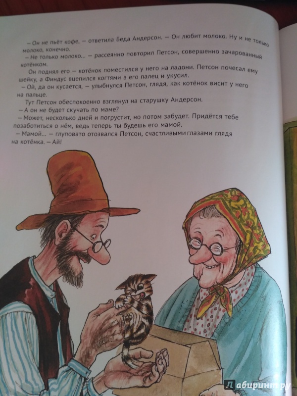 Иллюстрация 49 из 102 для История о том как Финдус потерялся, когда был маленьким - Свен Нурдквист | Лабиринт - книги. Источник: irinka_m