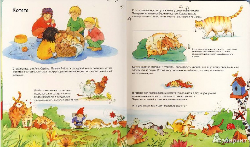 Иллюстрация 2 из 28 для Детеныши животных | Лабиринт - книги. Источник: Мила
