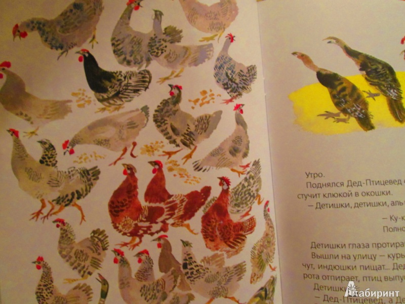 Иллюстрация 7 из 15 для Птичьи разговоры - Виталий Бианки | Лабиринт - книги. Источник: Алонсо Кихано
