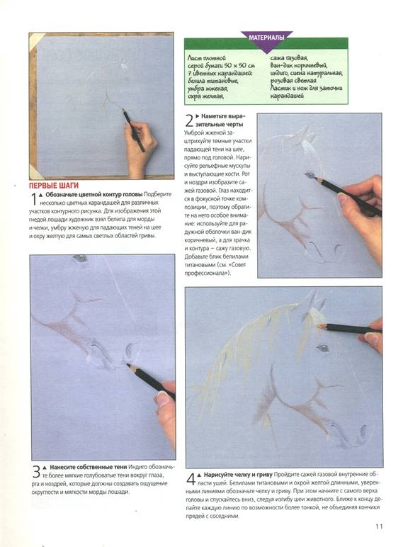 Иллюстрация 39 из 49 для Как научиться рисовать животных. Шаг за шагом | Лабиринт - книги. Источник: * Ольга *