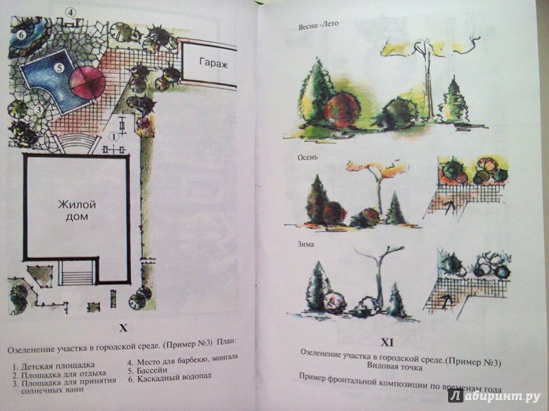 Иллюстрация 6 из 25 для Декоративные деревья и кустарники в ландшафтном озеленении - Мальцева, Алексеев-Малахов | Лабиринт - книги. Источник: Sonya Summer